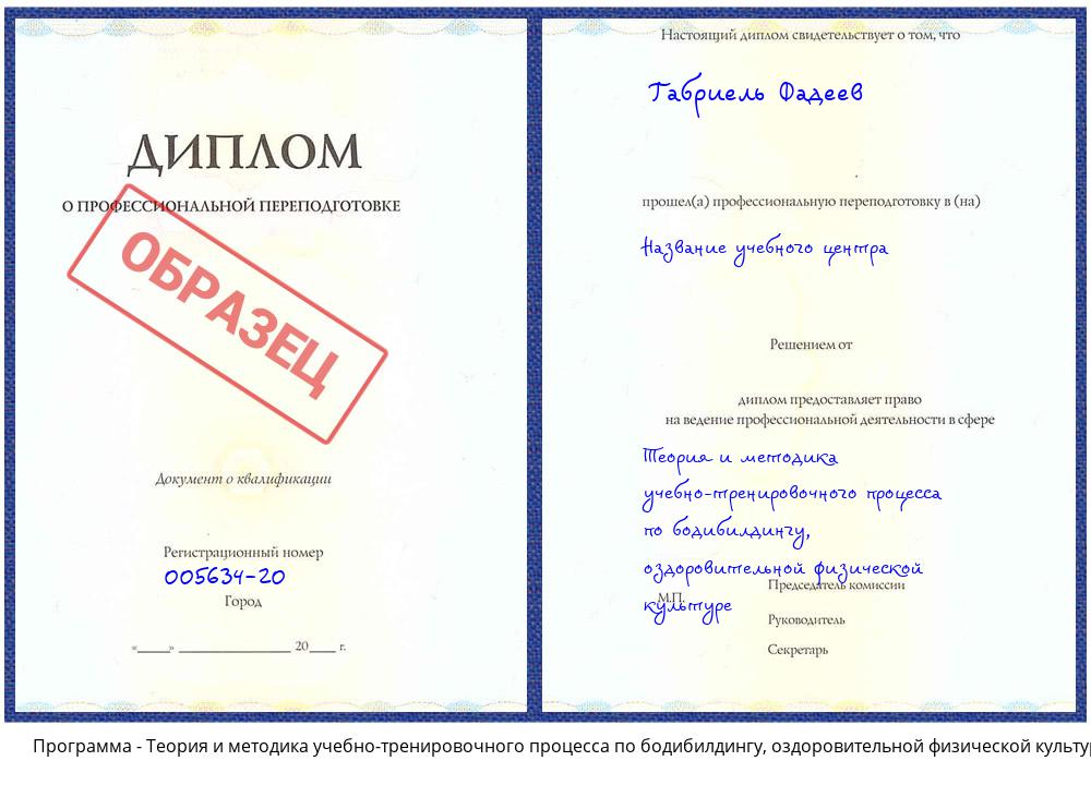 Теория и методика учебно-тренировочного процесса по бодибилдингу, оздоровительной физической культуре Архангельск