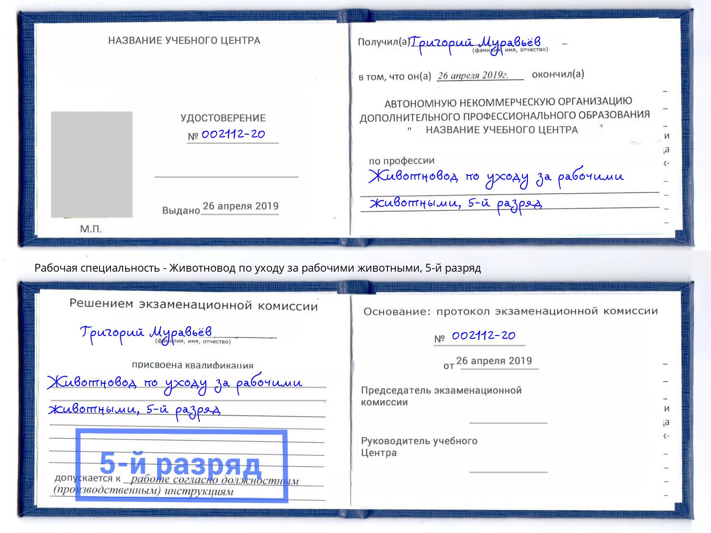 корочка 5-й разряд Животновод по уходу за рабочими животными Архангельск