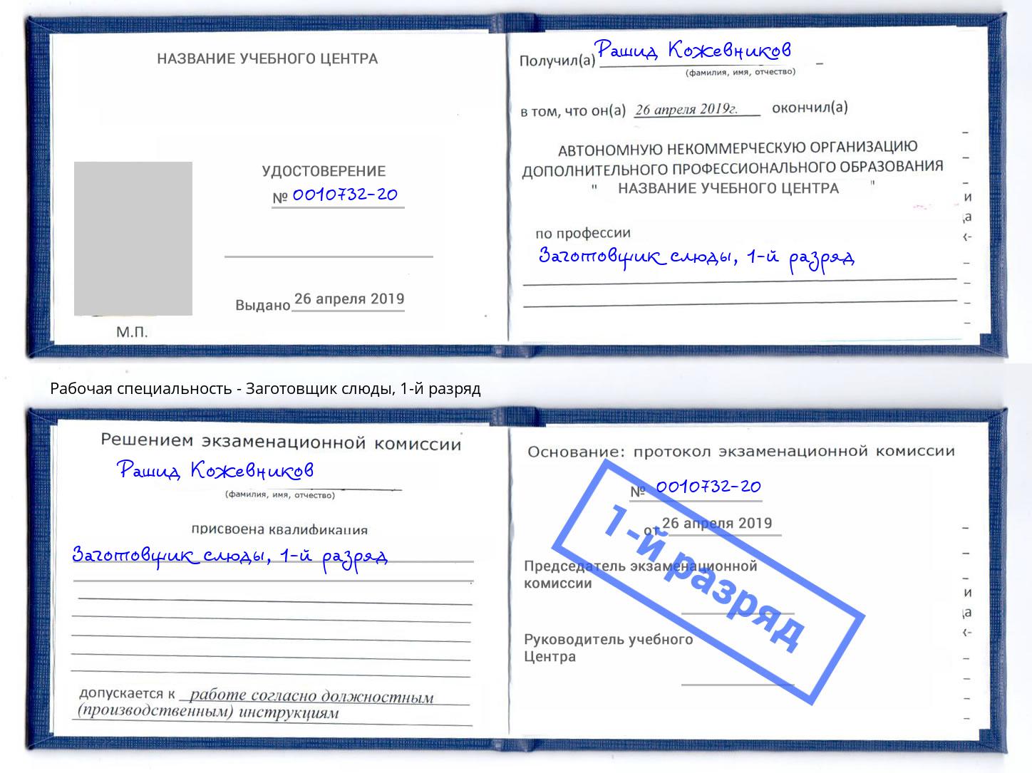 корочка 1-й разряд Заготовщик слюды Архангельск